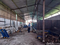 Peternakan Maggot di Sedayu Masih Bau, Warga Minta Ditutup Permanen