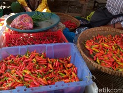 Video: Harga Cabai Rawit Merah Meroket, Tembus Rp 120 Ribu/Kg
