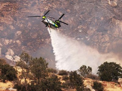 Puluhan Helikopter Wara-wiri Padamkan Kebakaran Hutan di California