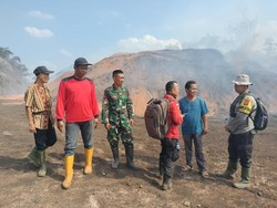 Stockpile Batu Bara Perusahaan di Jambi Terbakar, Tercatat Jadi Hotspot