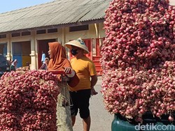 Harga Bawang Merah Naik, Kesempatan Petani Genjot Pendapatan