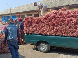 Harga Bawang Merah di Pasar Probolinggo Turun Drastis Dampak Panen Raya