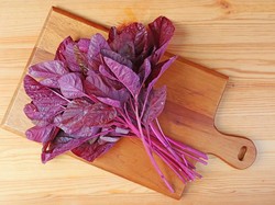 Bayam Merah Baik untuk Diet, Ini Manfaat dan Cara Konsumsinya