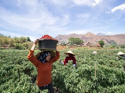 Jurus BRI Jaga Rasio Kredit Bermasalah UMKM hingga di Level 3%