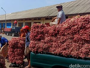 Harga Bawang Merah Terjun Bebas, Ternyata Ini Biang Keroknya