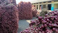 Harga Bawang Merah di Probolinggo Turun