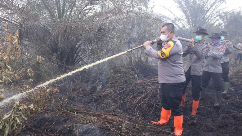 Polisi Berjibaku Padamkan Api Karhutla di Dumai