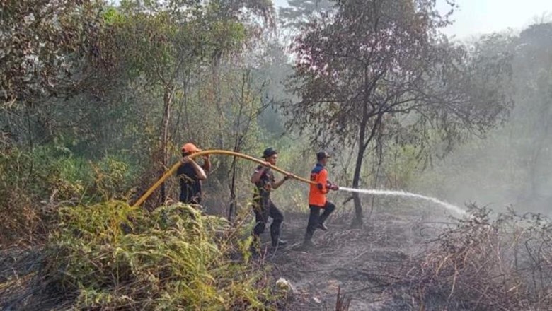 Karhutla Muara Enim Meluas hingga 8 Hektare