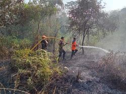 Karhutla Muara Enim Meluas hingga 8 Hektare