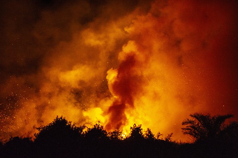 Hari Ke-10 Pemadaman Kebakaran Lahan Gambut di Riau
