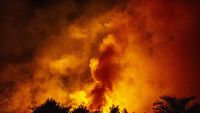 5 Hektar Lahan di Muaro Jambi Terbakar