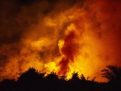 5 Hektar Lahan di Muaro Jambi Terbakar