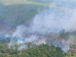 BPBD Sumsel Water Bombing 107 Kali Atasi Karhutla di Musi Banyuasin
