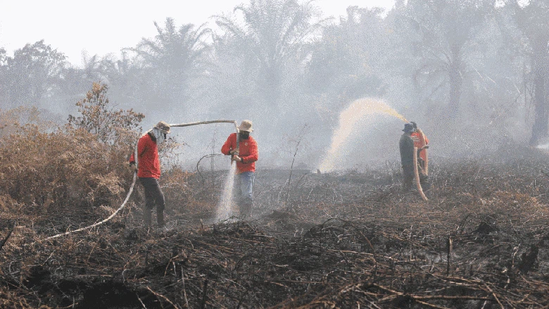 Hari Ke-10 Pemadaman Kebakaran Lahan Gambut di Riau