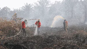 Musim Kemarau Tiba, Karhutla Membara