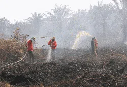 Musim Kemarau Tiba, Karhutla Membara