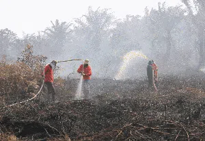 Musim Kemarau Tiba, Karhutla Membara