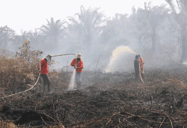 Musim Kemarau Tiba, Karhutla Membara
