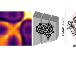 Apakah Materi Sidik Jari yang Kompleks Bisa Dibuat? Ilmuwan Mencoba dengan AI