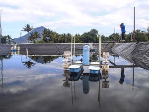 Potret Proyek Budidaya Udang Vaname di Halmahera Barat Terbengkalai Potret Proyek Budidaya Udang Vaname di Halmahera Barat Terbengkalai