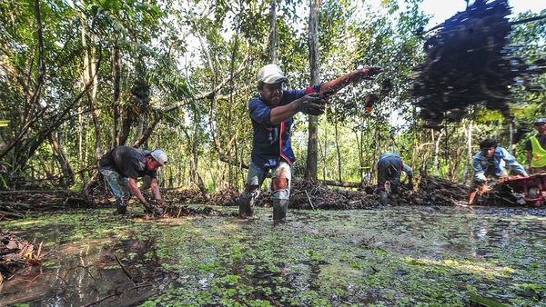 Kanal Kuno Cagar Budaya Muara Jambi Direvitalisasi