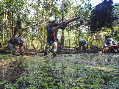 Kanal Kuno Cagar Budaya Muara Jambi Direvitalisasi
