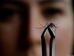 Sebabkan Kematian di Brasil, Apa Itu Demam Oropouche?