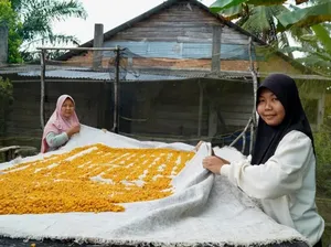 Belajar dari Fiqka, Anak Buruh yang Lolos Kedokteran Hewan UGM Belajar dari Fiqka, Anak Buruh yang Lolos Kedokteran Hewan UGM