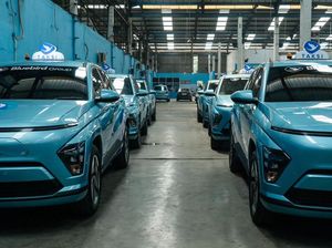 Bluebird Beri Sinyal Bakal Tebar Dividen di 2025