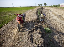Terungkap! 2 Juta Hektare Sawah Irigasinya Mandek