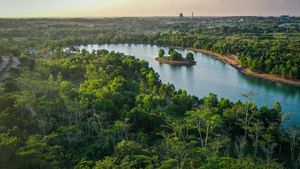 Indahnya Taman Hutan Hujan Tropis Indonesia di Kalsel