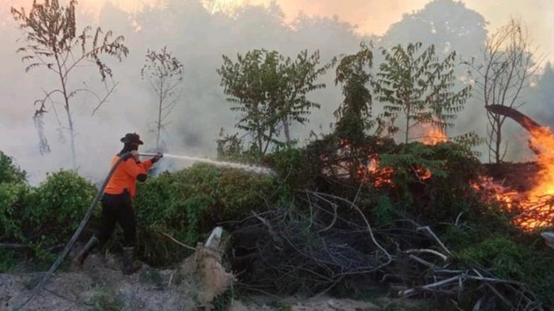 Karhutla di Muara Medak Muba Belum Padam, Penyekatan Dilakukan