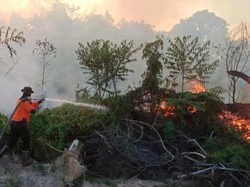 Karhutla di Muara Medak Muba Belum Padam, Penyekatan Dilakukan
