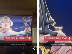 Viral Seekor Lebah Ganggu Atlet Panah Korsel di Saat Menentukan