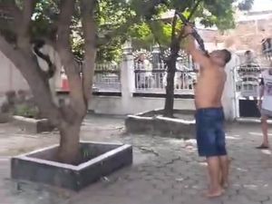Monyet Liar yang Diduga Serang Balita di Gresik Terpaksa Ditembak Mati Monyet Liar yang Diduga Serang Balita di Gresik Terpaksa Ditembak Mati