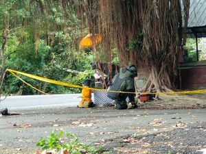 Geger Kotak Misterius Diduga Bom di Pura Gilimanuk, Polisi Kerahkan Jibom Geger Kotak Misterius Diduga Bom di Pura Gilimanuk, Polisi Kerahkan Jibom