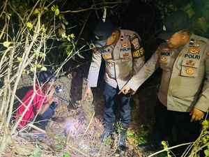 Warga Tulang Bawang Barat Digegerkan Penemuan Tulang Manusia di Kebun Karet Warga Tulang Bawang Barat Digegerkan Penemuan Tulang Manusia di Kebun Karet