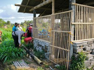 Waduh! 12 Kambing Milik Peternak Kulon Progo Raib dalam Semalam