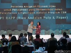 RAPP Restorasi 150 Ribu Hektare Hutan Gambut