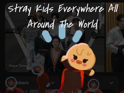 Gemasnya SKZOO Stray Kids di Google Search Ramaikan #2024STAYweeK