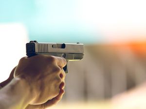 Jabar Hari Ini: Pria Bandung Bunuh Kucing Pakai Airsoft Gun Jabar Hari Ini: Pria Bandung Bunuh Kucing Pakai Airsoft Gun
