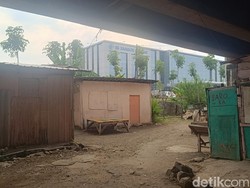 5 Fakta Penghuni Kolong Flyover Semarang, Ternyata Korban Penipuan Tanah Wakaf