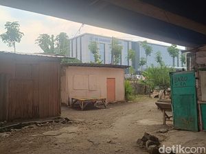 5 Fakta Penghuni Kolong Flyover Semarang, Ternyata Korban Penipuan Tanah Wakaf 5 Fakta Penghuni Kolong Flyover Semarang, Ternyata Korban Penipuan Tanah Wakaf