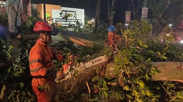 Dahan pohon besar patah melintang di Bogor sempat halangi lalu lintas sekitar. Foto: dokumen BPBD Kota Bogor