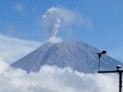 Gunung Semeru Erupsi 4 Kali, Ketinggian Letusan hingga 800 Meter