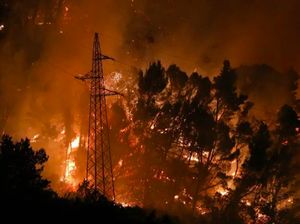 Gelombang Panas 40 Derajat Celcius, Kroasia Kebakaran