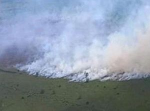 5 Daerah Sumsel Terjadi Karhutla, PALI-Muba Masih Berasap