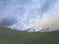 5 Daerah Sumsel Terjadi Karhutla, PALI-Muba Masih Berasap