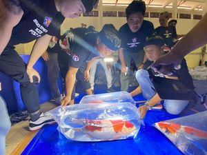 Siap-siap! Festival Koi Digelar Lagi di Buleleng, Undang Penghobi se-Indonesia Siap-siap! Festival Koi Digelar Lagi di Buleleng, Undang Penghobi se-Indonesia