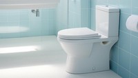 Flush Kloset dengan Tutup Terbuka Vs Tertutup, Mana yang Lebih Higienis?